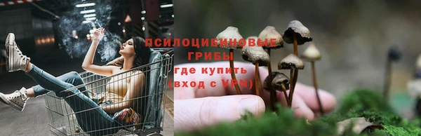 сатива Волосово