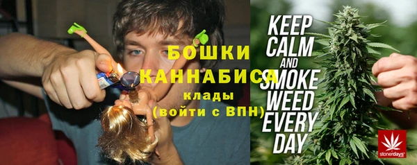 сатива Волосово